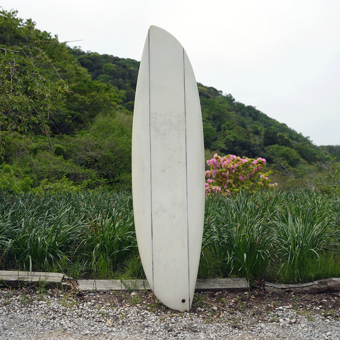 Original Surfboard <Birds asymmetry model>