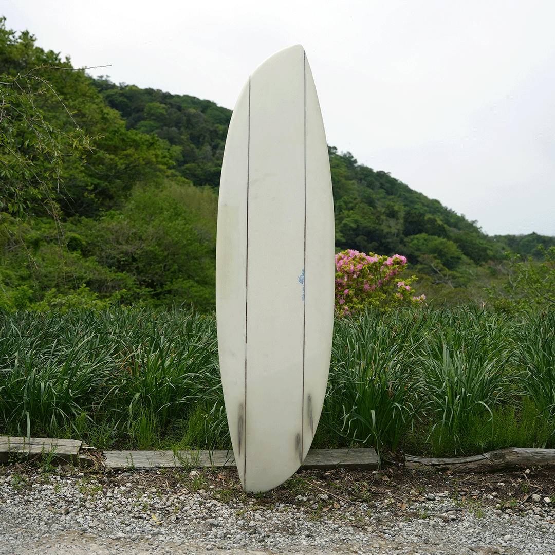 Original Surfboard <Birds asymmetry model>