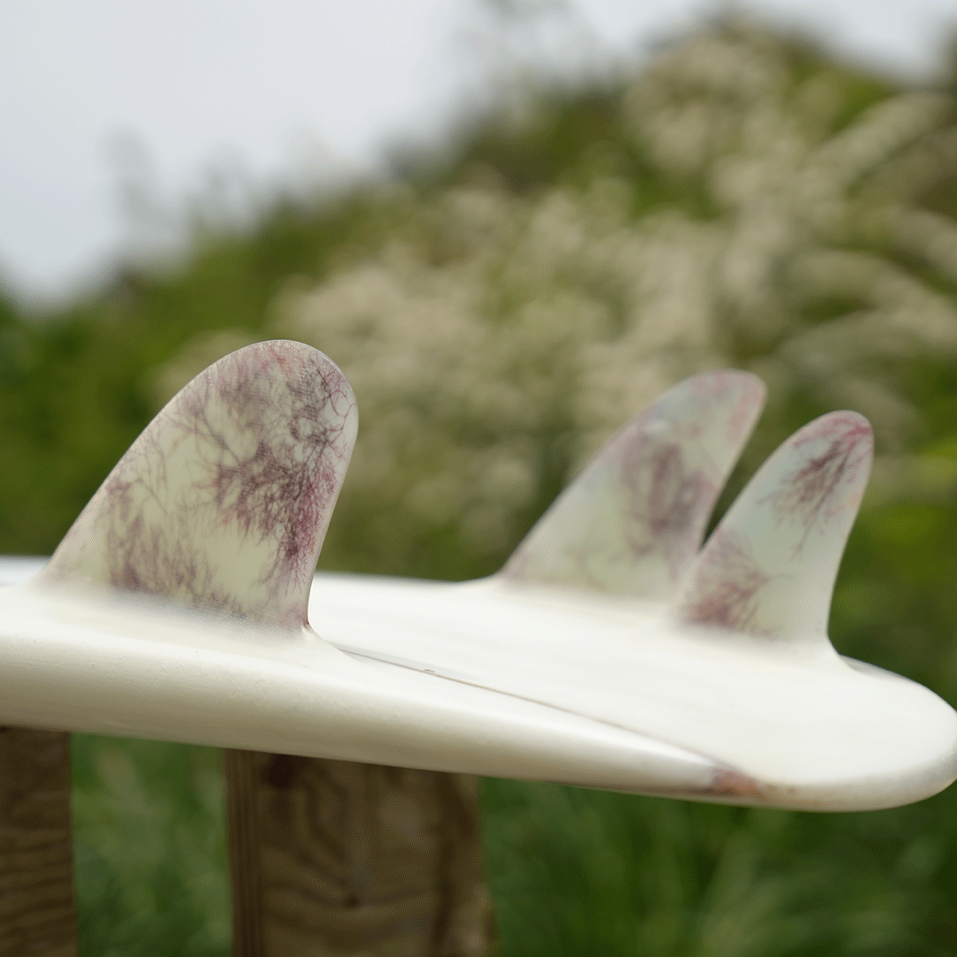 Original Surfboard <Birds asymmetry model>