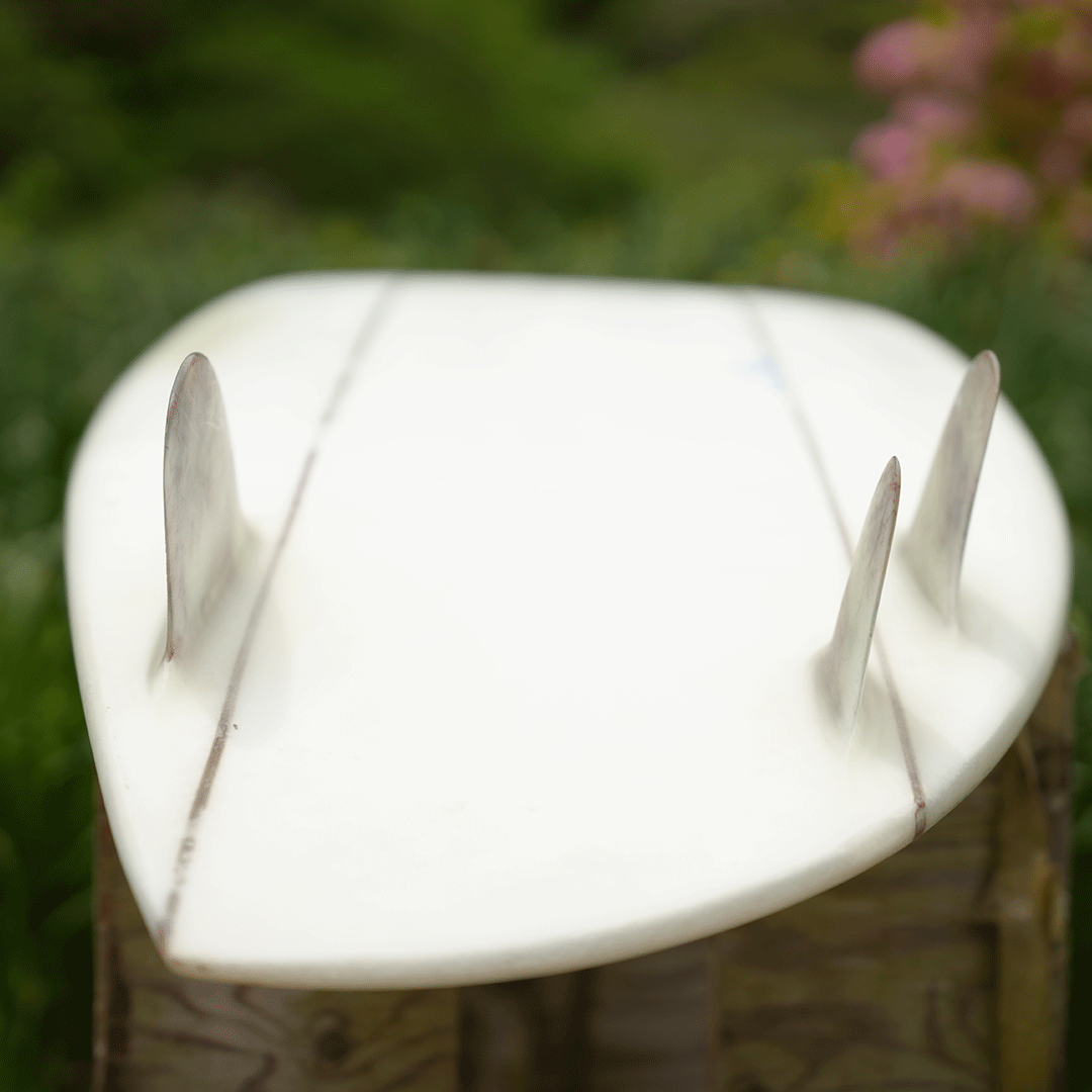 Original Surfboard <Birds asymmetry model>