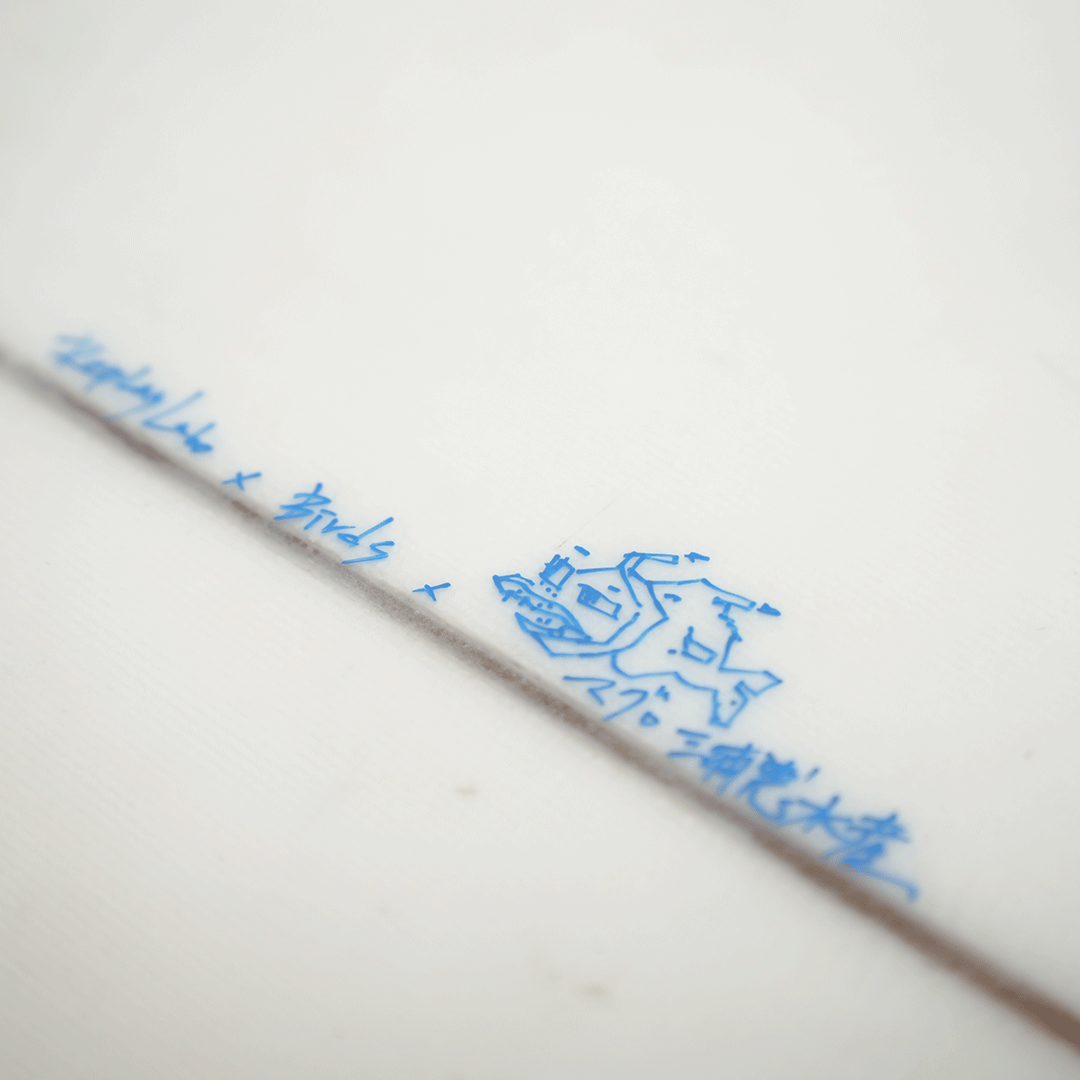 Original Surfboard <Birds asymmetry model>