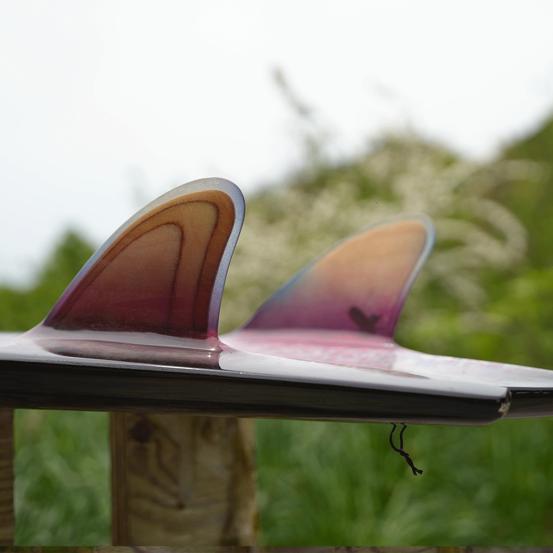 Original Fish Surfboard ＜Birds × love ear model2＞